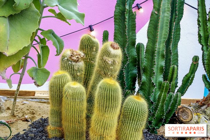 Le Jardin Suspendu à Paris