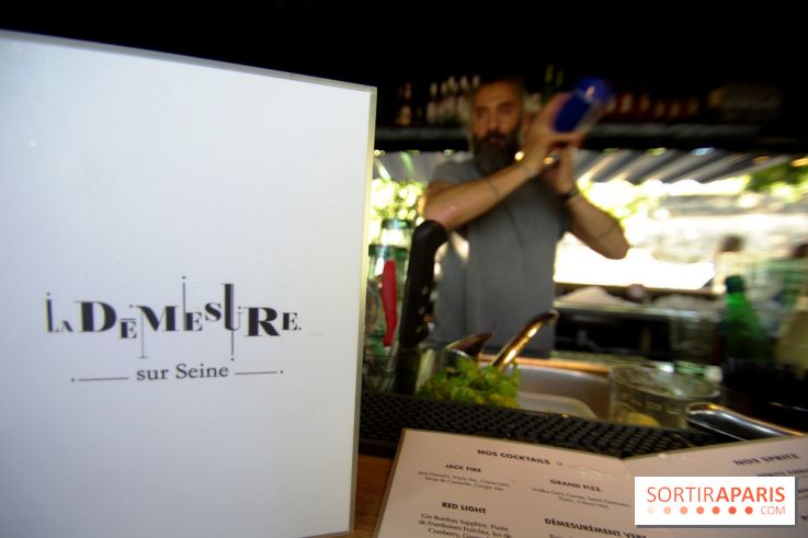 La Démesure Sur Seine à Paris, édition 2018