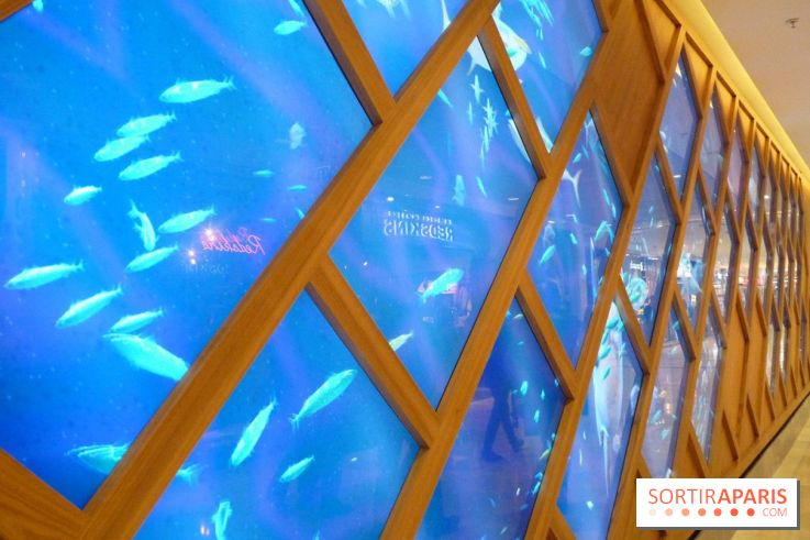 So Ouest, la galerie marine