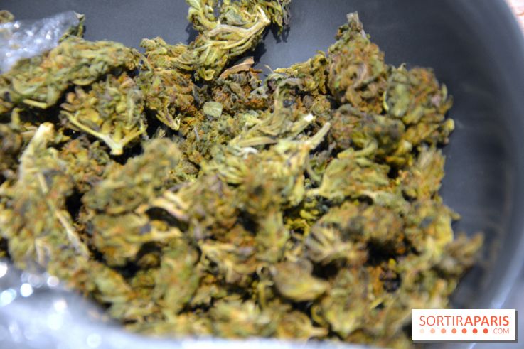 Le Lab du bonheur à Paris, un Coffee Shop CBD bien-être 