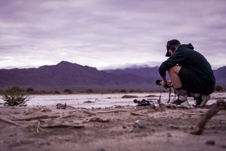 Roads : l'exposition éphémère de Thylacine aux Magasins Généraux