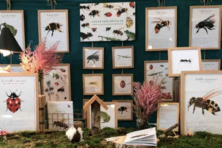 Idées Cadeaux de Noël 2020 : les livres et illustrations pour enfants des Petits Zécolos