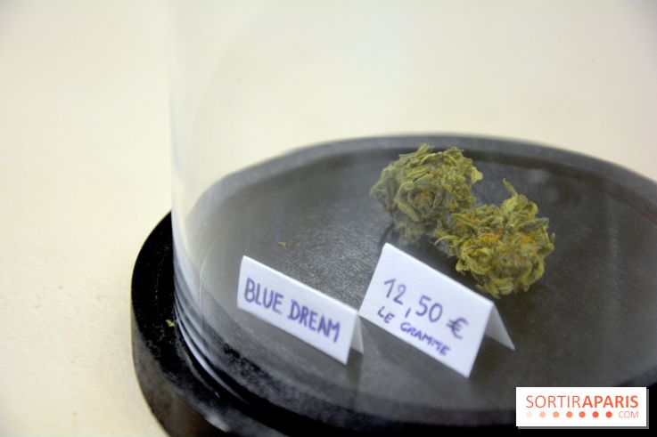 BlueDreamLab le spécialiste de la vente de cannabis CBD