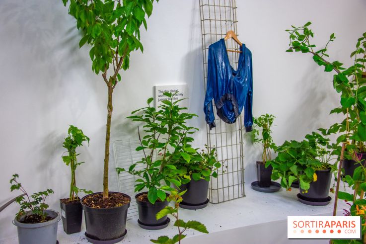 Exposition Laure Prouvost au Palais de Tokyo