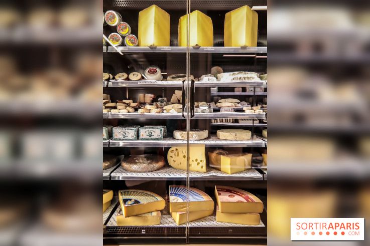 Maison Plisson 2, inauguration