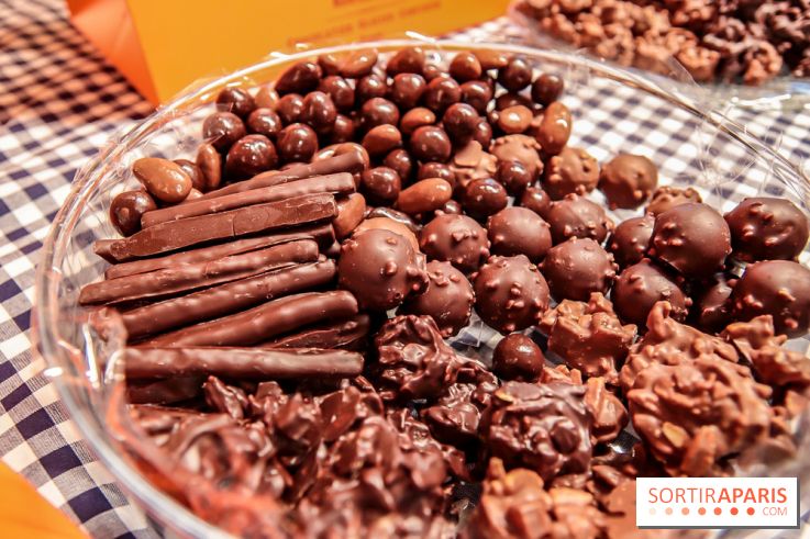 Maison Plisson 2, inauguration