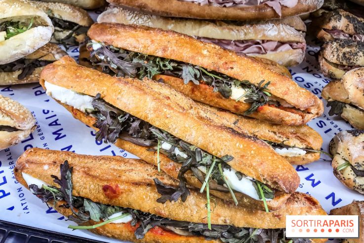 Maison Plisson 2, inauguration