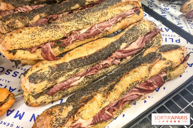 Maison Plisson 2, inauguration