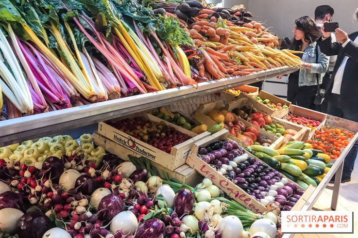 Maison Plisson 2, inauguration