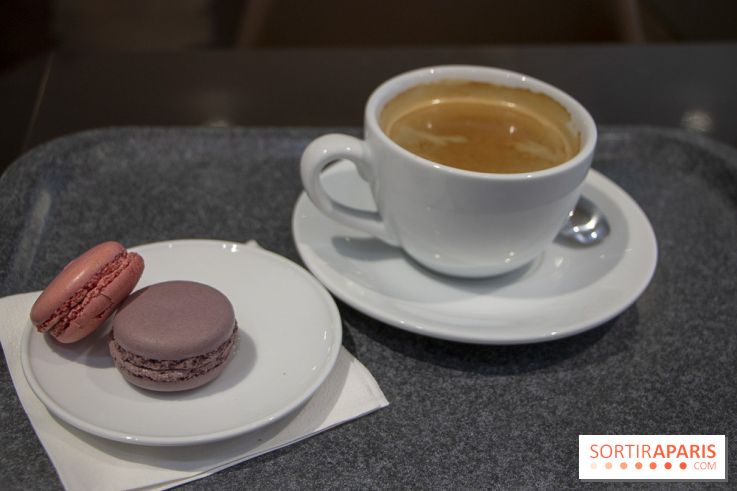 Le retour du Grand Veggie : nos photos