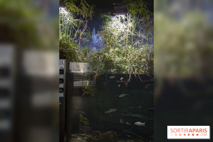 Peppa Pig à l’Aquarium de Paris : les photos