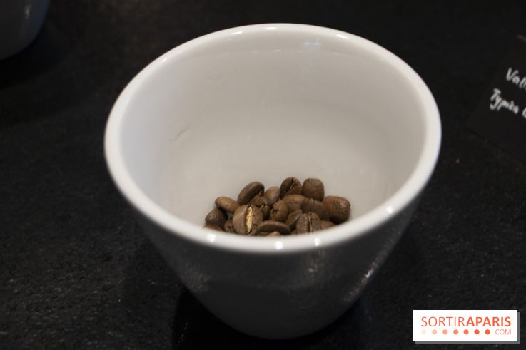 Initiation "autour du café" chez Comptoirs Richard : les photos