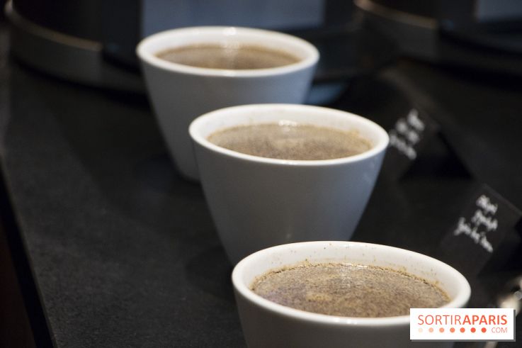 Initiation "autour du café" chez Comptoirs Richard : les photos