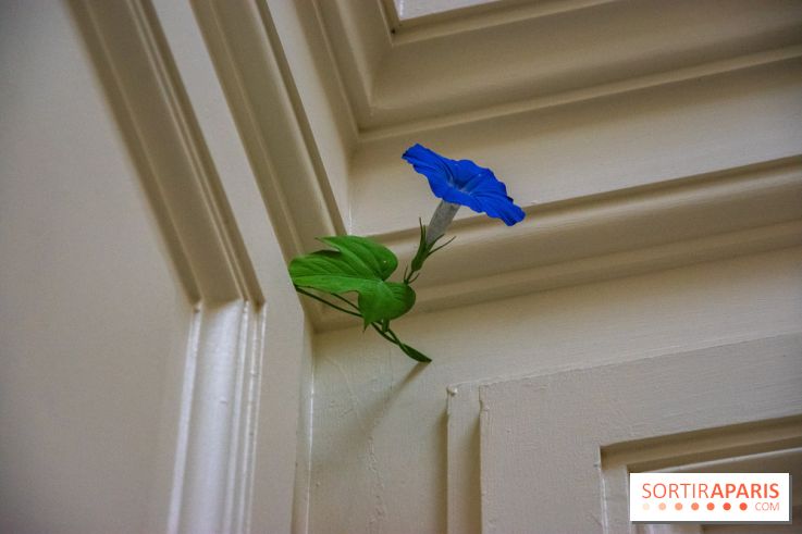 FUKAMI, l'exposition à l'hôtel Salomon de Rothschield