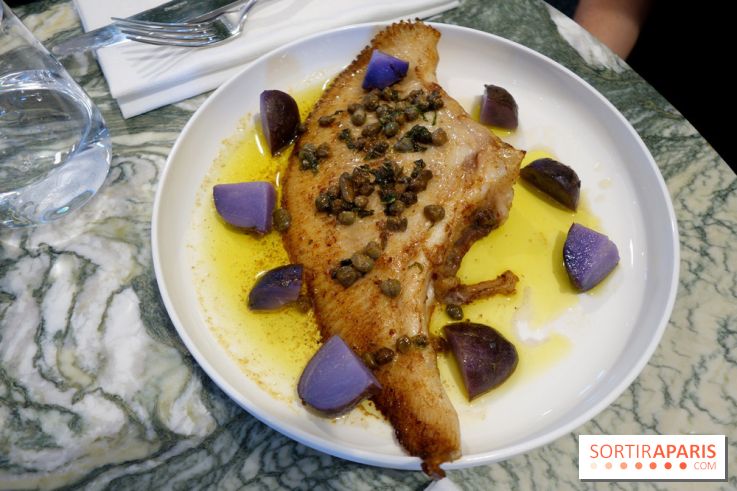 Zebra par Alexandre Giesbert et Julien Ross dans le 16e à Paris