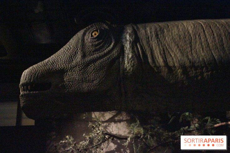 Dinosaure, la vie en grand au Muséum