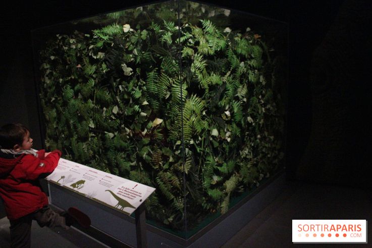 Dinosaure, la vie en grand au Muséum