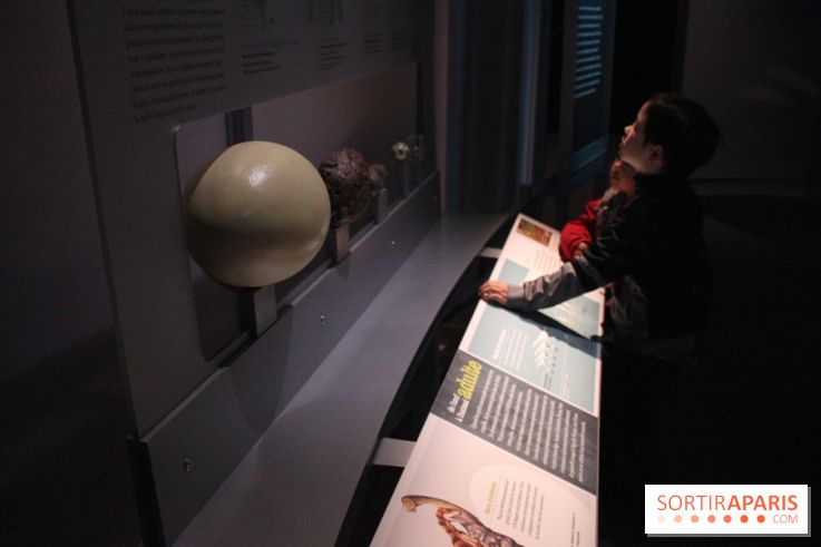 Dinosaure, la vie en grand au Muséum