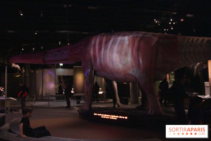 Dinosaure, la vie en grand au Muséum