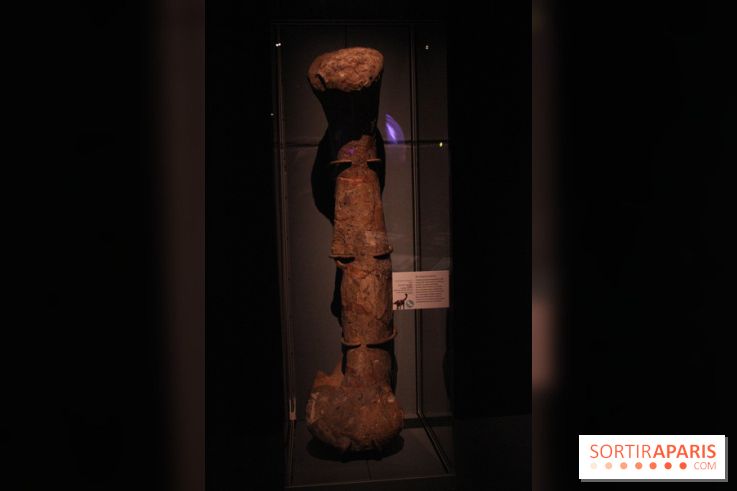 Dinosaure, la vie en grand au Muséum