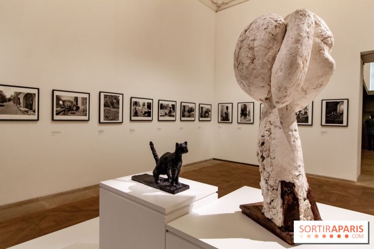 Les chefs d'œuvre de Picasso au Musée Picasso, photos