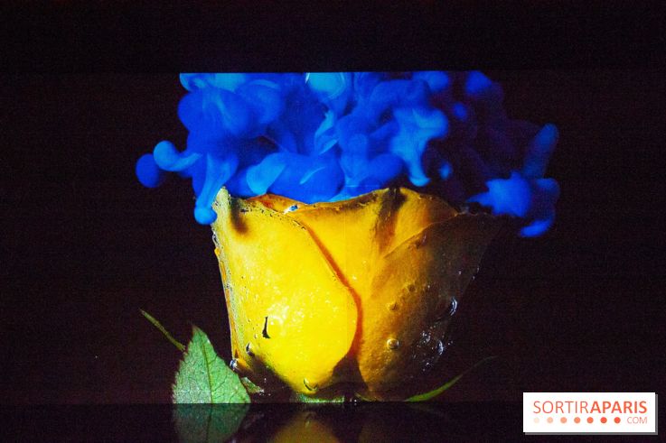 Colours X Colours, l'installation immersive à l'Atelier des Lumières