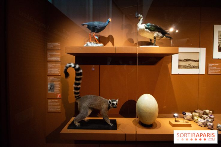 Exposition Madagascar au musée du Quai Branly 