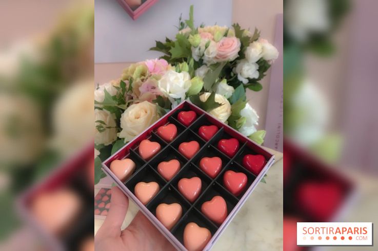 Marcolini x Victoria Beckham