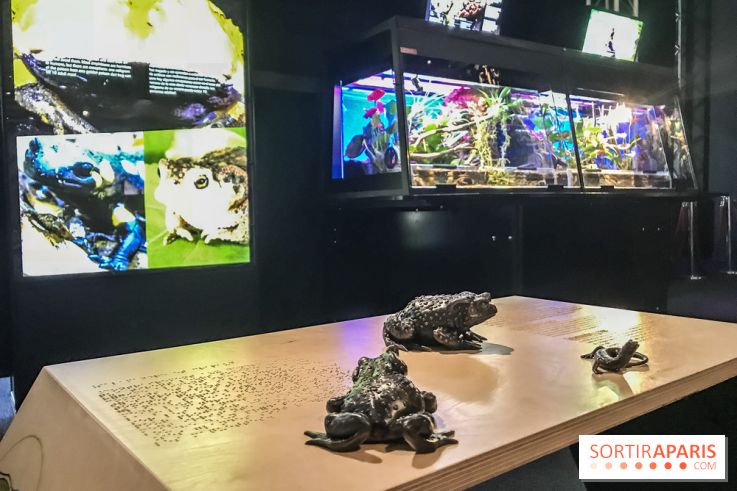 Poison au Palais de la Découverte, les photos 