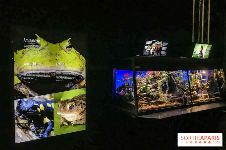 Poison au Palais de la Découverte, les photos 