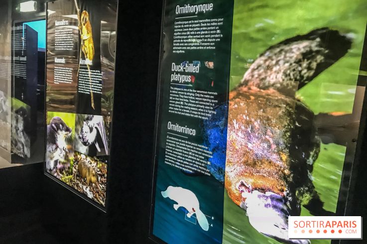 Poison au Palais de la Découverte, les photos 