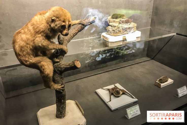 Poison au Palais de la Découverte, les photos 