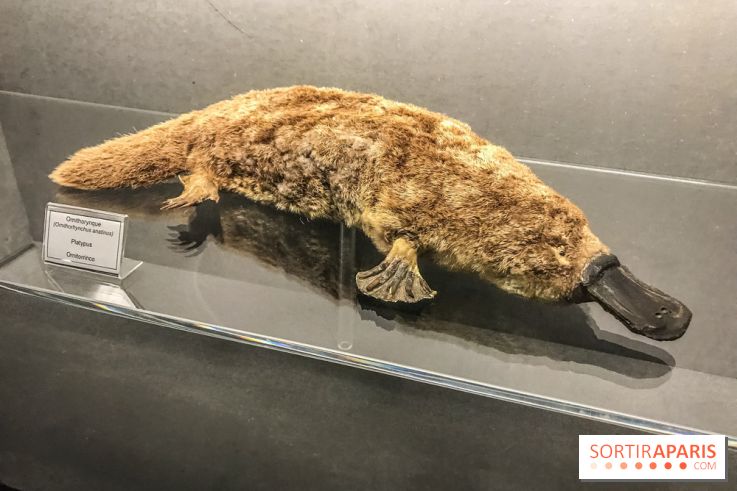 Poison au Palais de la Découverte, les photos 