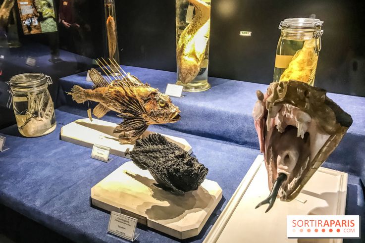 Poison au Palais de la Découverte, les photos 