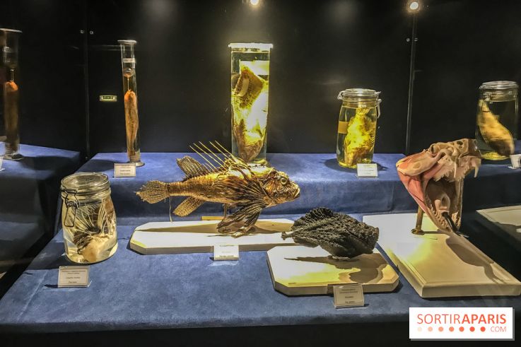 Poison au Palais de la Découverte, les photos 