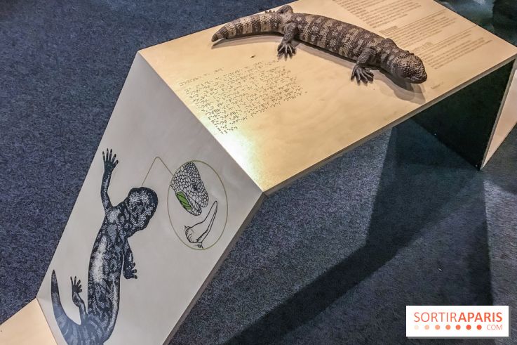 Poison au Palais de la Découverte, les photos 