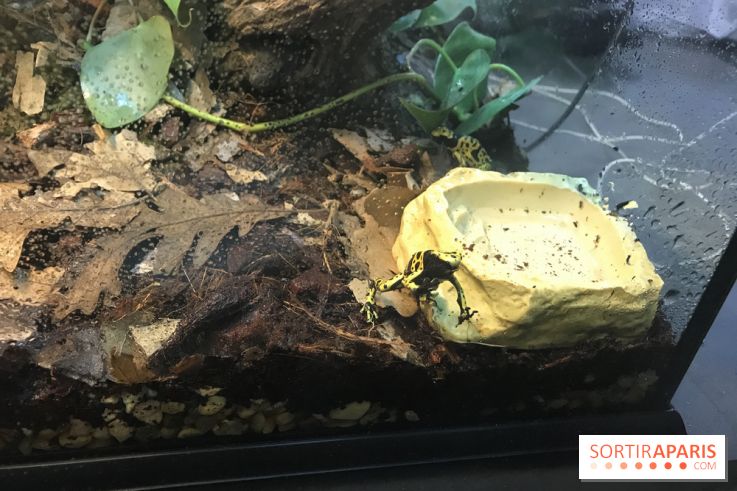 Poison au Palais de la Découverte, les photos 