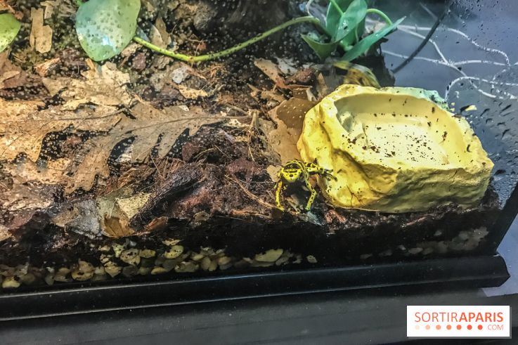 Poison au Palais de la Découverte, les photos 