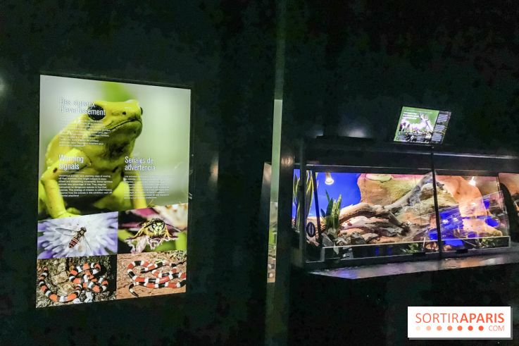 Poison au Palais de la Découverte, les photos 