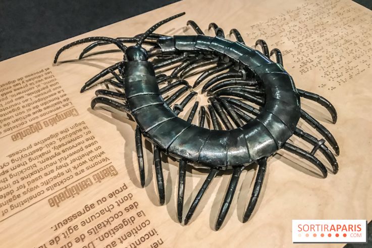 Poison au Palais de la Découverte, les photos 