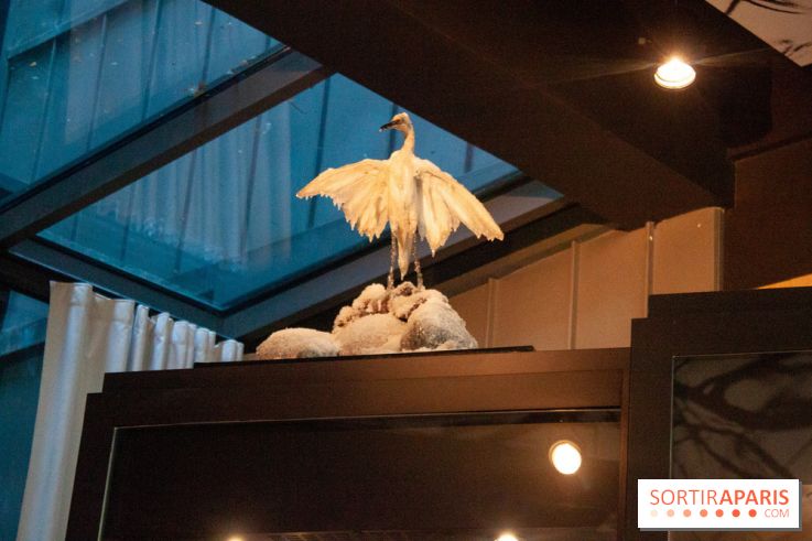 Reality Check au Cinq Codet