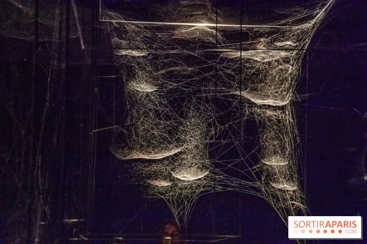 Carte Blanche à Tomas Saraceno au Palais de Tokyo