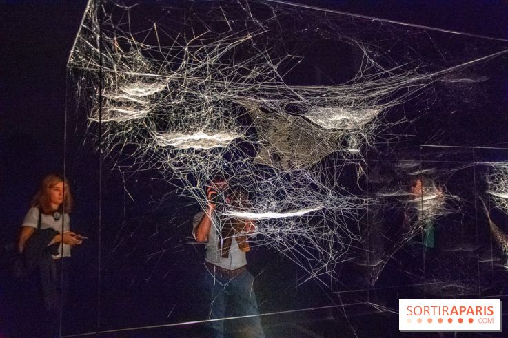 Carte Blanche à Tomas Saraceno au Palais de Tokyo