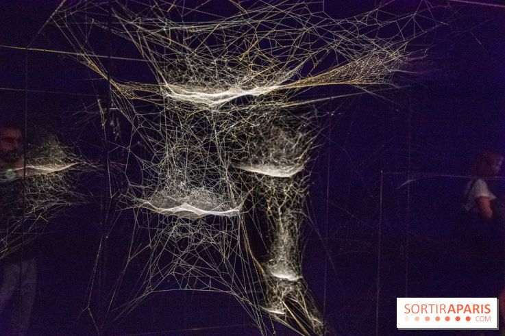 Carte Blanche à Tomas Saraceno au Palais de Tokyo