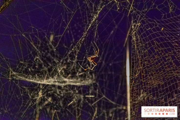 Carte Blanche à Tomas Saraceno au Palais de Tokyo