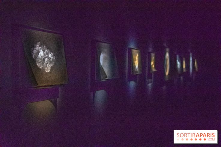 Carte Blanche à Tomas Saraceno au Palais de Tokyo