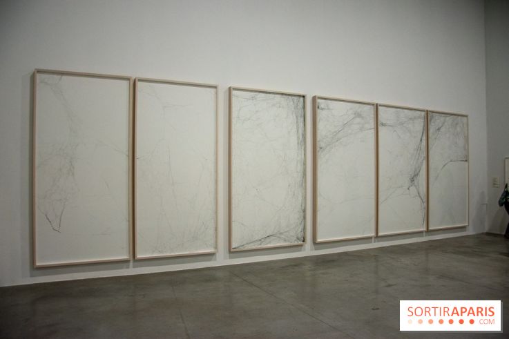 Carte Blanche à Tomas Saraceno au Palais de Tokyo