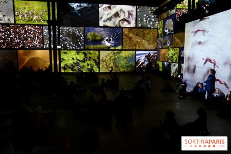Terra Magnifica à L'Atelier des Lumières