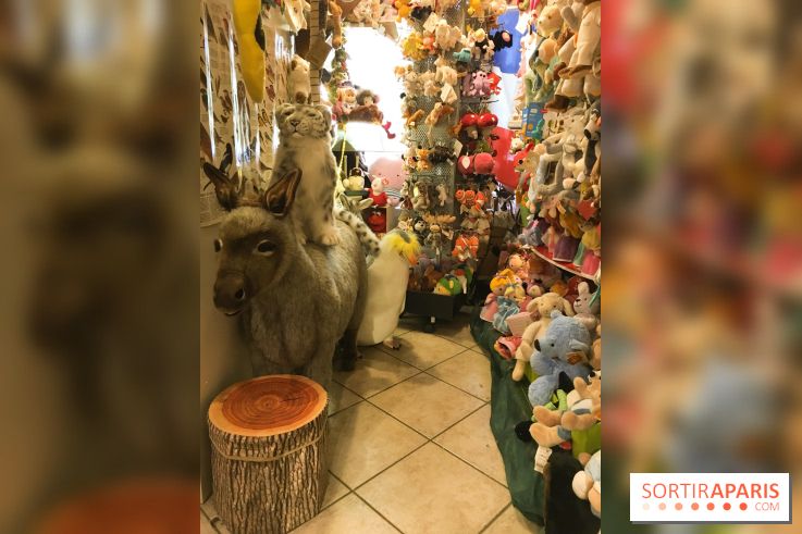 Tout en peluche : le magasin de peluche le mieux achalandé de Paris