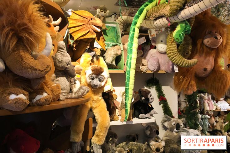 Tout en peluche : le magasin de peluche le mieux achalandé de Paris